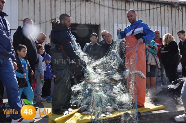 samak denisss (37).JPG